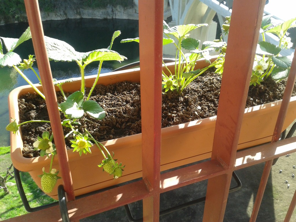 20150415_104650