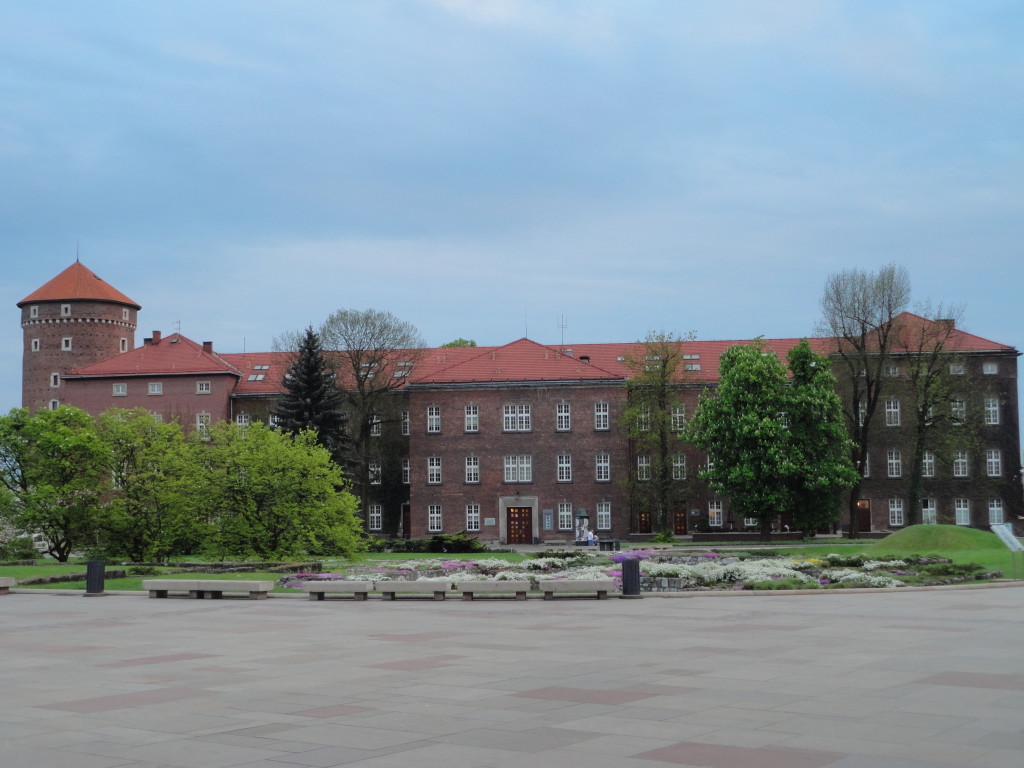 DSC05351