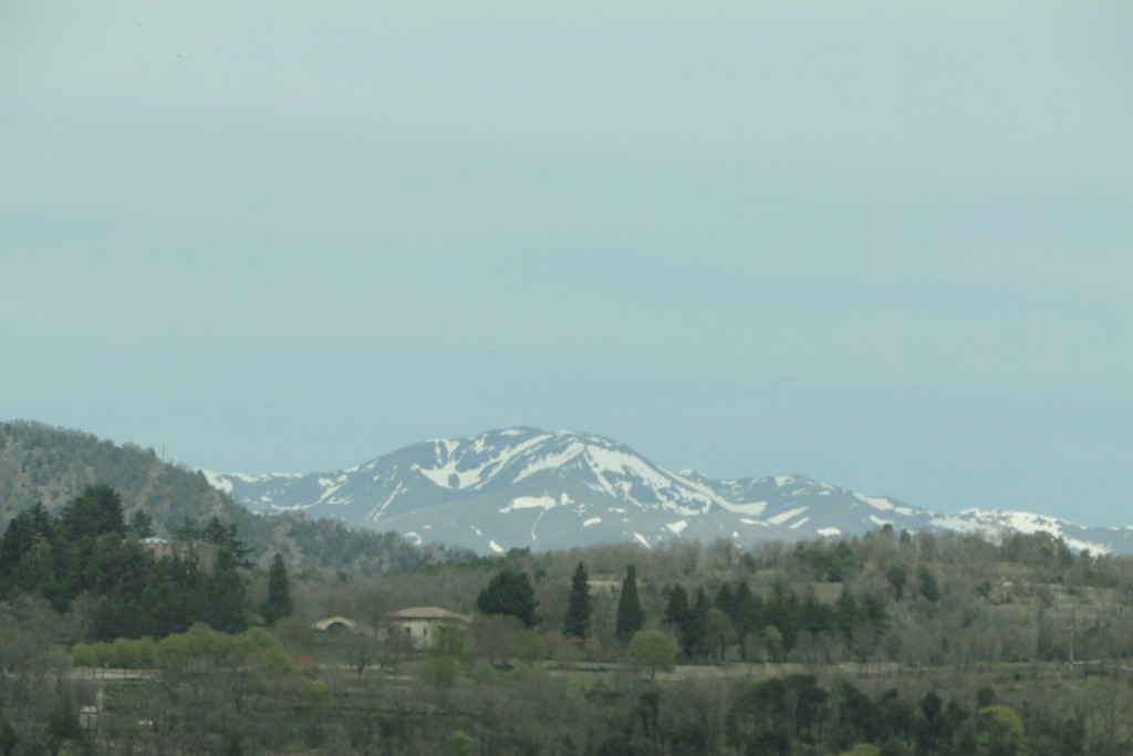 DSC08306