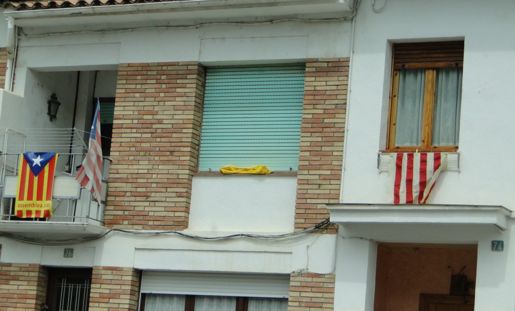 DSC08309