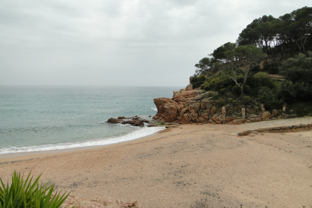 DSC08503