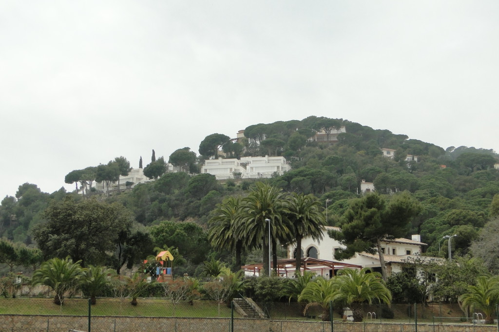 DSC08504