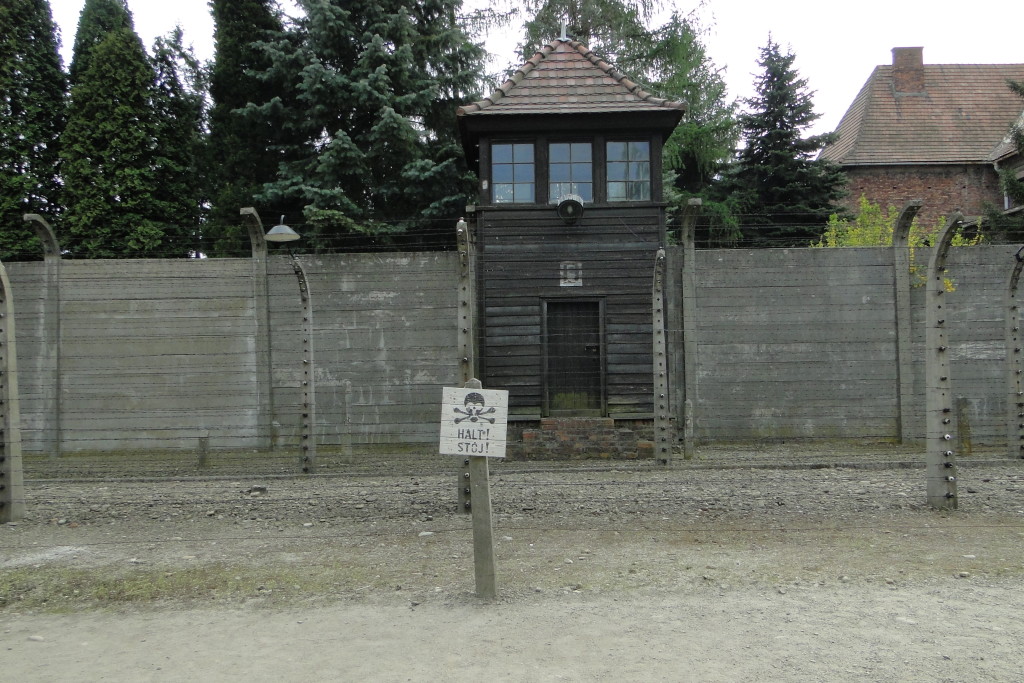 DSC09329