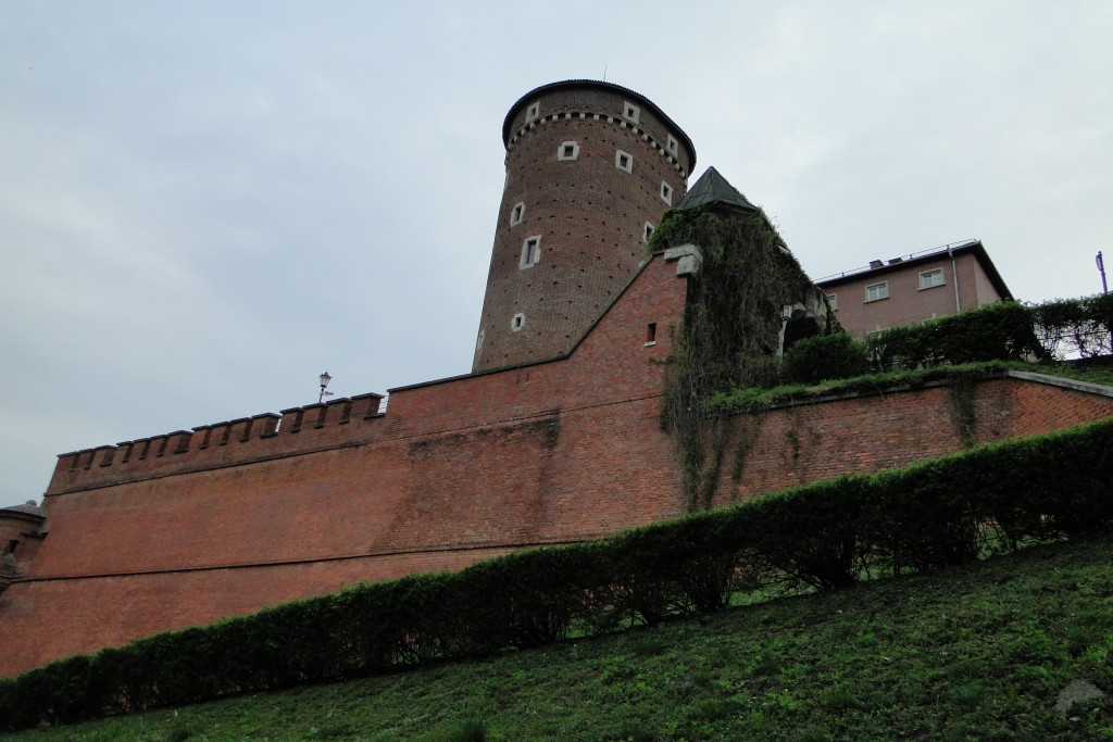 DSC09367