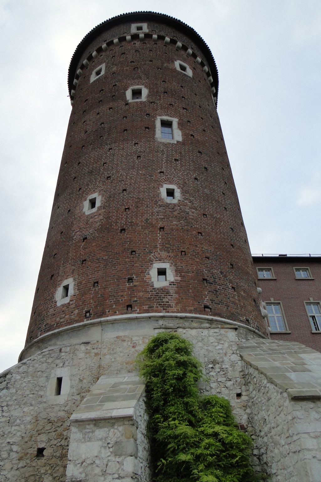 DSC09384