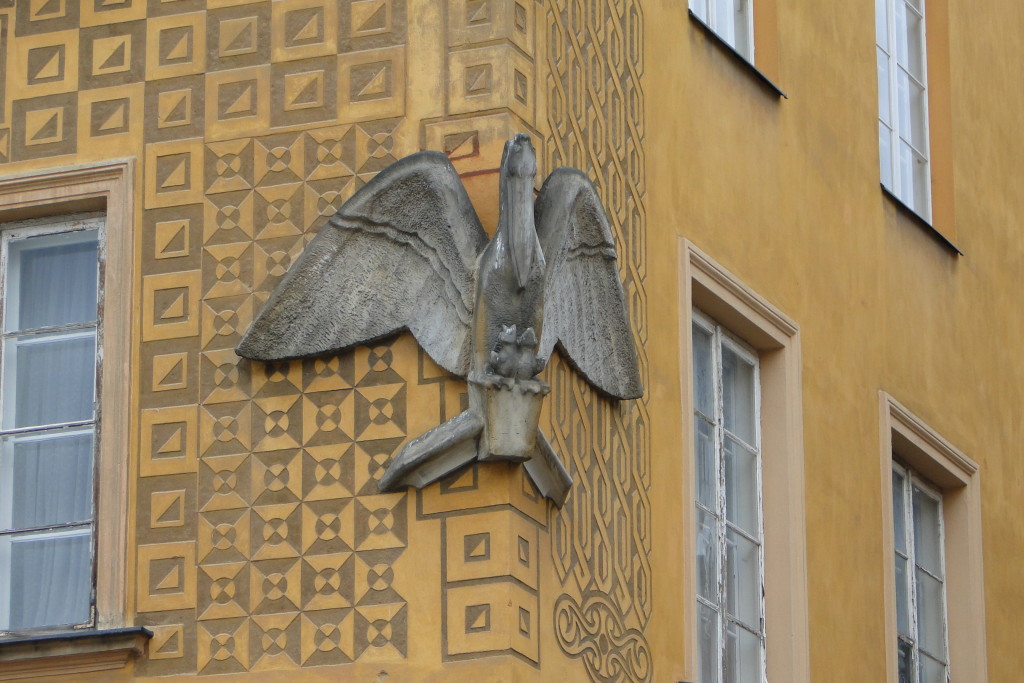 DSC09507