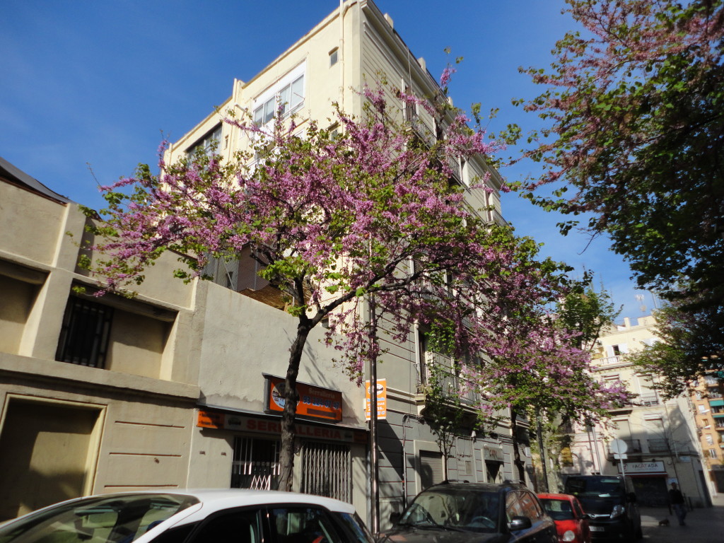DSC05036