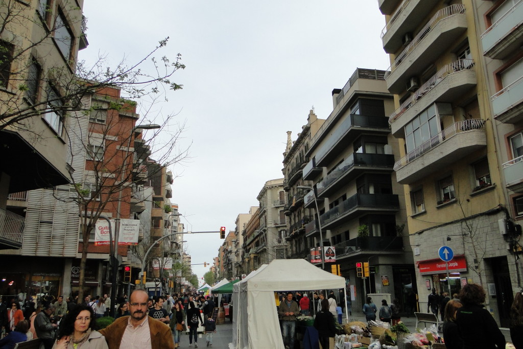 DSC08860