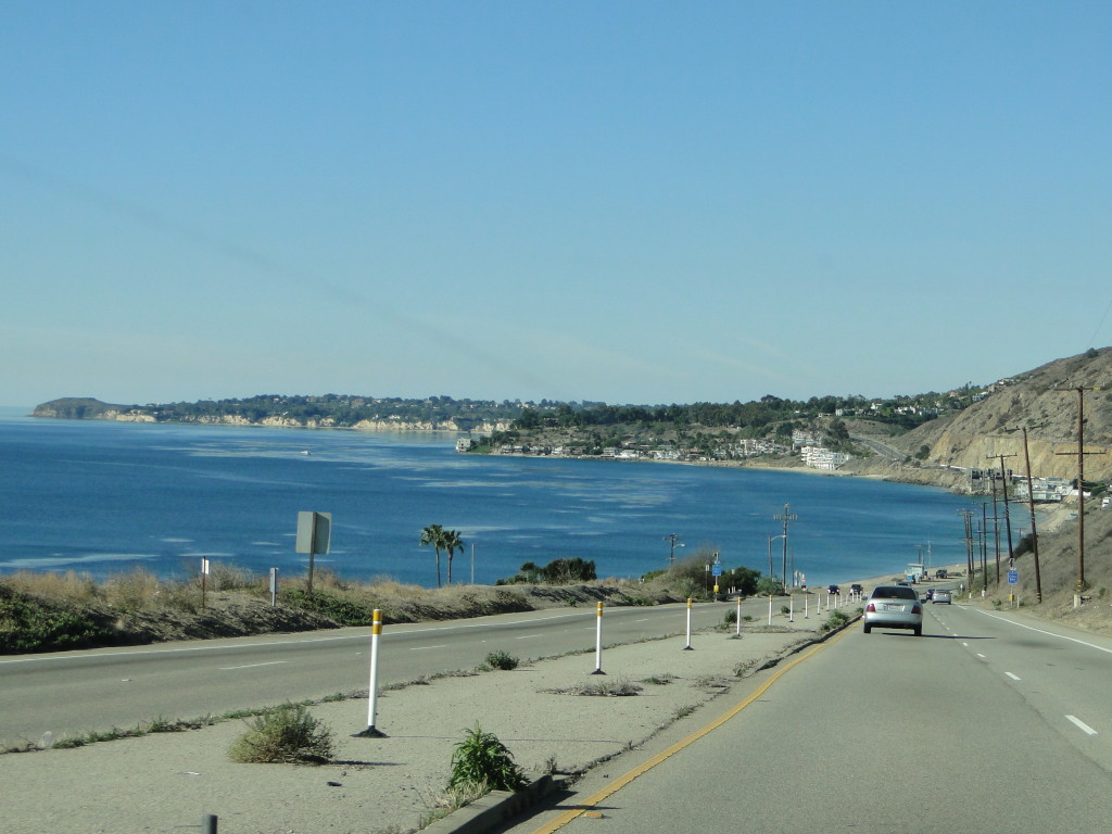 DSC06169