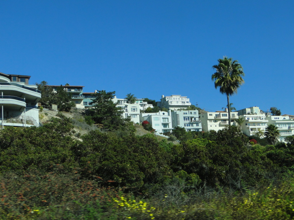 DSC06185