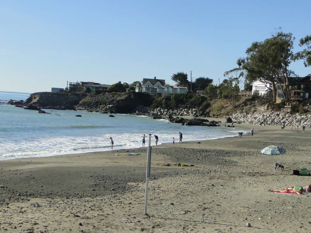 DSC06214