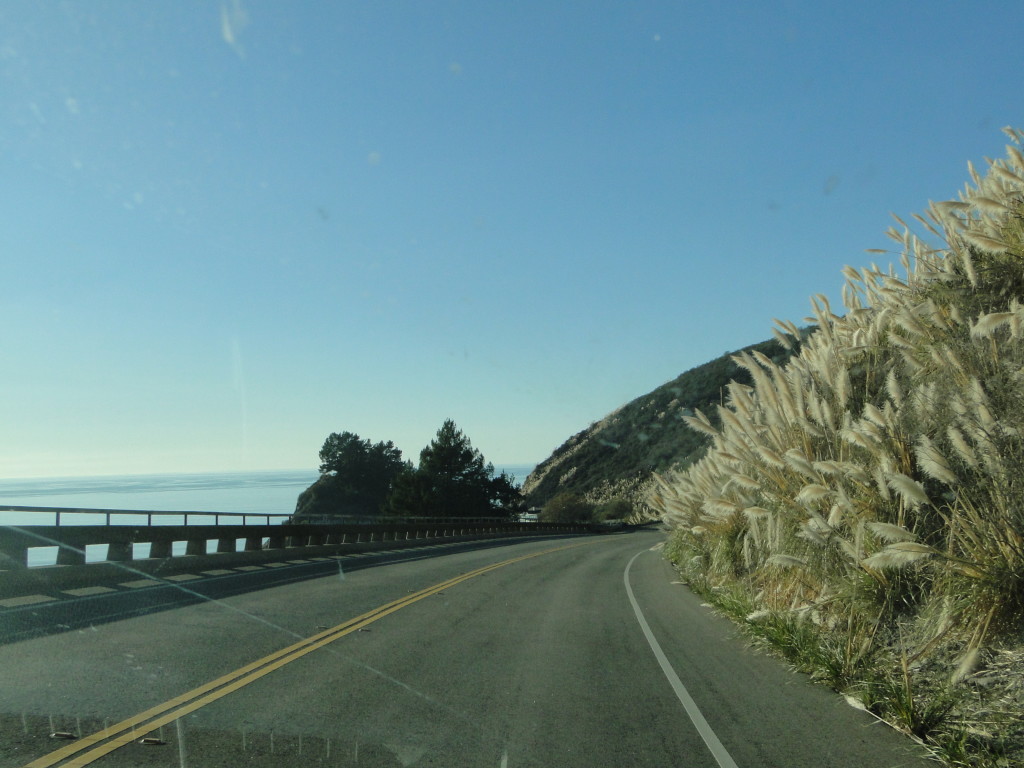 DSC06260