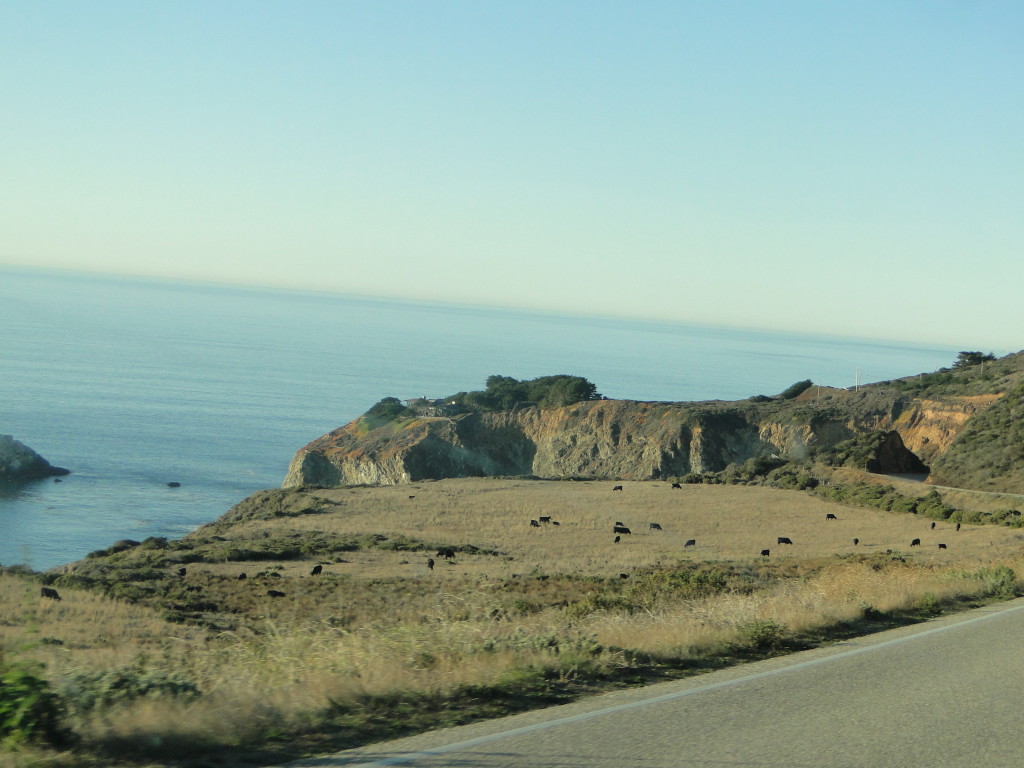 DSC06268