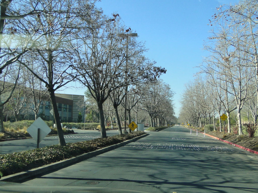 DSC06324