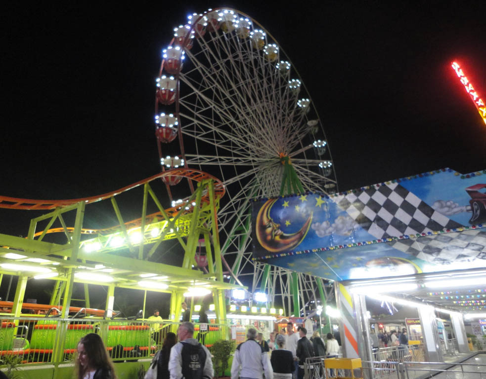 DSC06054-2-2